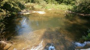 Прогноза за понеделник 31 октомври