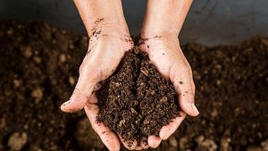 Мислеща почва ще предпазва сградите от срутване