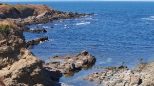 Дрон ще обследва чистотата на Черно море