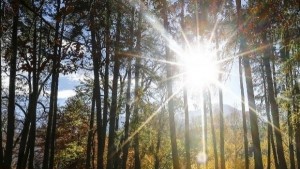 Времето на 1 ноември Очаква ни повече слънце