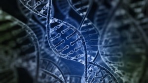 Учени откриха гени които определят кога ще имаме семейство и