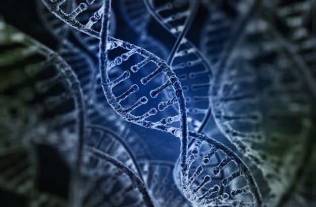 Учени откриха гени, които определят кога ще имаме семейство и деца