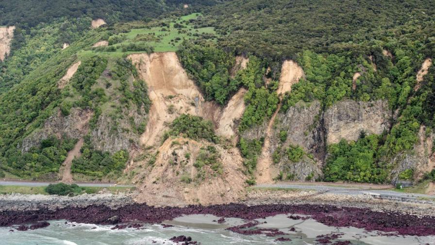 Трусовете в Нова Зеландия издигнаха морското дъно с 2 метра