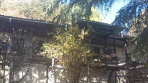 Художници продават платна ще ремонтират стаята на Левски в мъглижкия