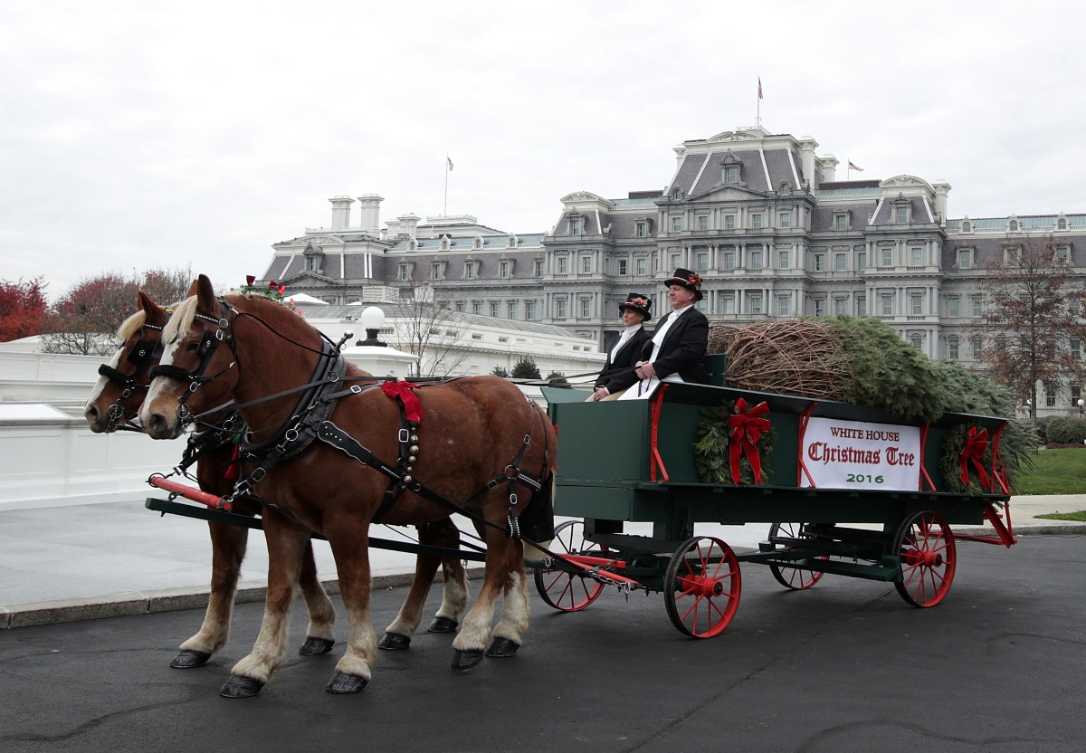 Остават броени дни до най-чаканите празници - Коледа и Нова година. Това ще е последната година, която семейство Обама ще празнува в Белия дом. Подготовката вече започна, а украсата на сградата наподобява вълшебна приказка.