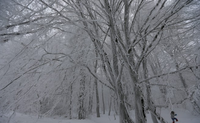Във вторник – студ и бурен вятър, опасно време в цяла България