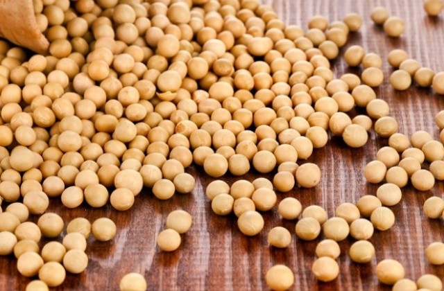 Причиняват ли ГМО-храните онкологични заболявания?