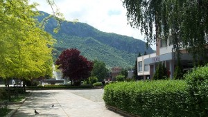 Министри се включват в дискусионен форум на тема 100 жени