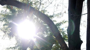 Слънчево сутринта следобед облаци