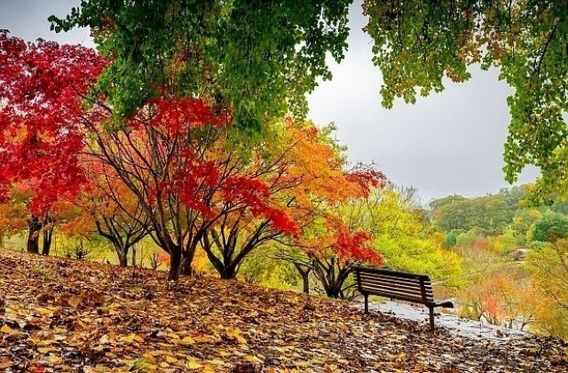 Температурите скачат до 20 градуса