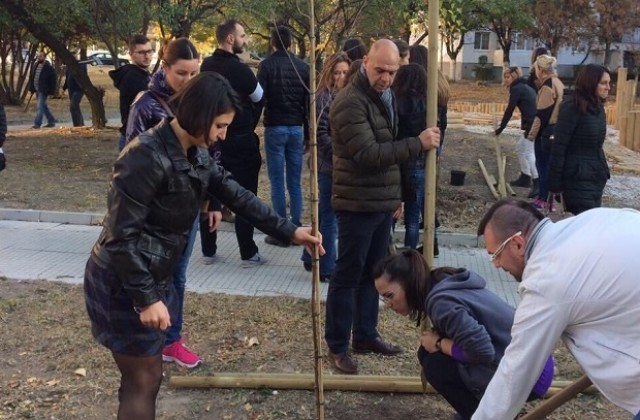 В Тракия засадиха 40 брези и дадоха старт на есенната залесителна кампания