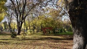 Днес ще е хладно но без превалявания