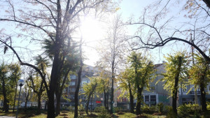 Слънчево време с временни увеличения на облачността