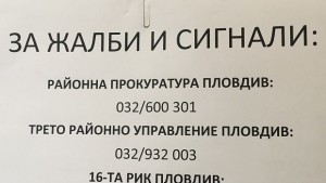 Едва 4 от пловдивчани отказват да гласуват за референдума