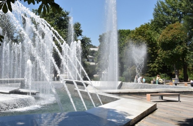 28,37% е избирателната активност в Плевенска област към 13.00 ч.