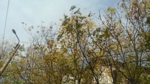 Вятър със 72 км в час ни брули цял ден
