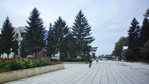 В Тервел печели Орешарски следван от Радев Марешки и Цачева