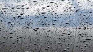 Времето на 9 ноември Облачно на много места ще превалява