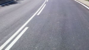 Силният вятър събори дърво на пътя ГабровоВелико Търново