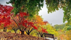 Валежите временно спират температурите се понижават