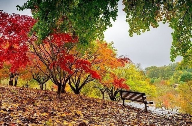 Времето на 10 ноември: Валежите временно спират, температурите се понижават