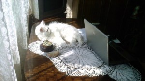 Повече светлина с помалко разходи за ток