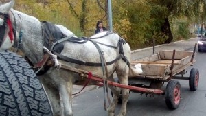 Репатрираха каруца от кръстовището на бул Източен и Шести септември