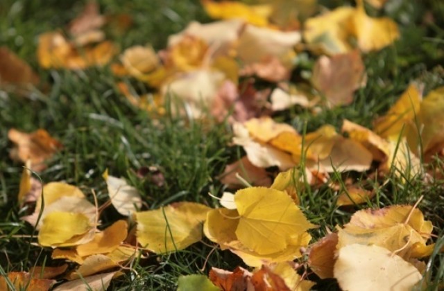 Максималните температури ще са между 11 и 16 градуса