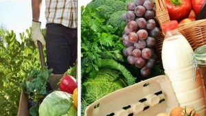 Кмет на с Долни Цибър Социално слабите да не подпират