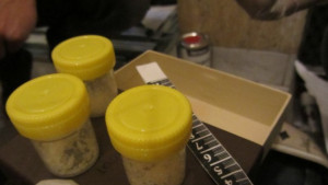 Откриха нарколаборатория в старозагорско жилище