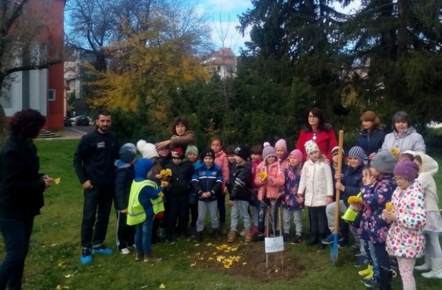 Спортисти и деца засадиха фиданка в центъра на Плевен