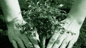 Залесителна акция в Орел в събота