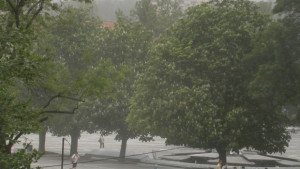 Оранжев код за силен вятър в областите Плевен и Ловеч