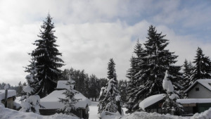 Ще има сняг по Коледа и Нова година