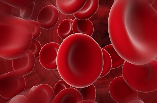 Кръвни клетки могат да се превърнат в оръжие срещу туморите