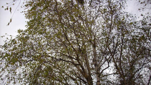 29 произшествия в Силистренско в неделния ден