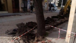 2580 домакинства и бизнес клиенти останаха без ток заради скъсан