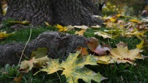 Слънчево но студено по Черноморието