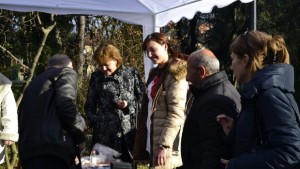 Над 200 великотърновци измериха кръвната си захар