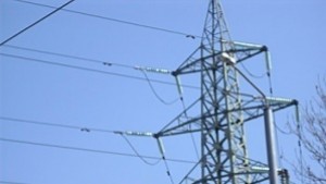 Обезопасиха 100 стълба в Свиленград спасяват птици
