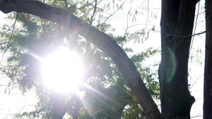 Очаква ни повече слънце