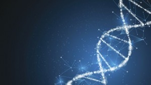 Откриха нова технология за корекция на ДНКто в увредени части