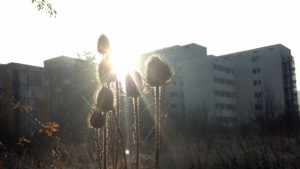 Времето на 19 ноември Остава слънчево и топло