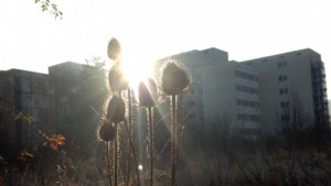 Времето на 19 ноември Остава слънчево и топло