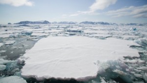 US правителството блокира добива на петрол и газ от нови