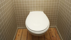 Отбелязваме Световния ден на тоалетната