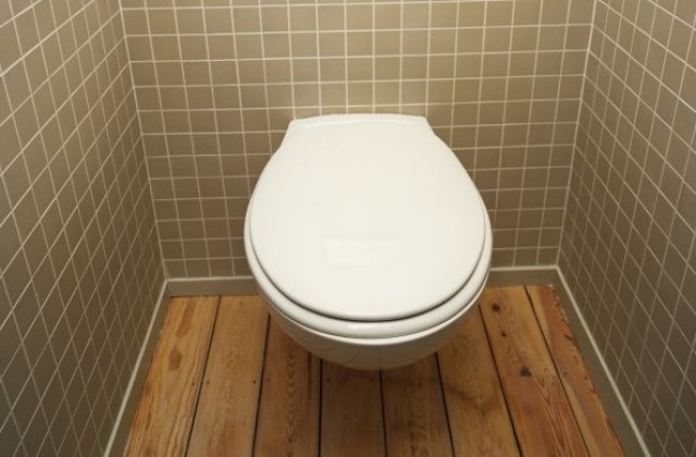 Отбелязваме Световния ден на тоалетната