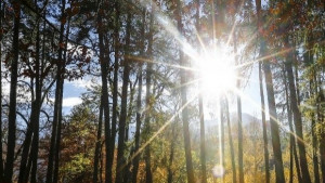 Слънчево и тихо