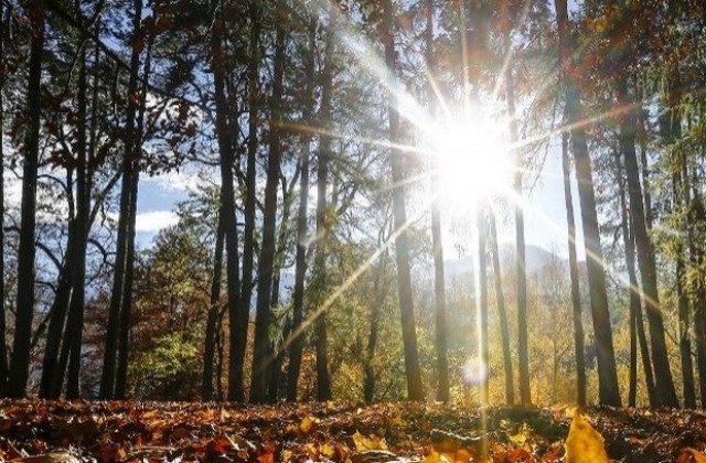 Слънчево и тихо