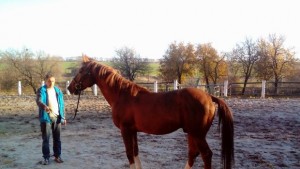 Кабиюк съхранява традиционните български породи коне ВИДЕО